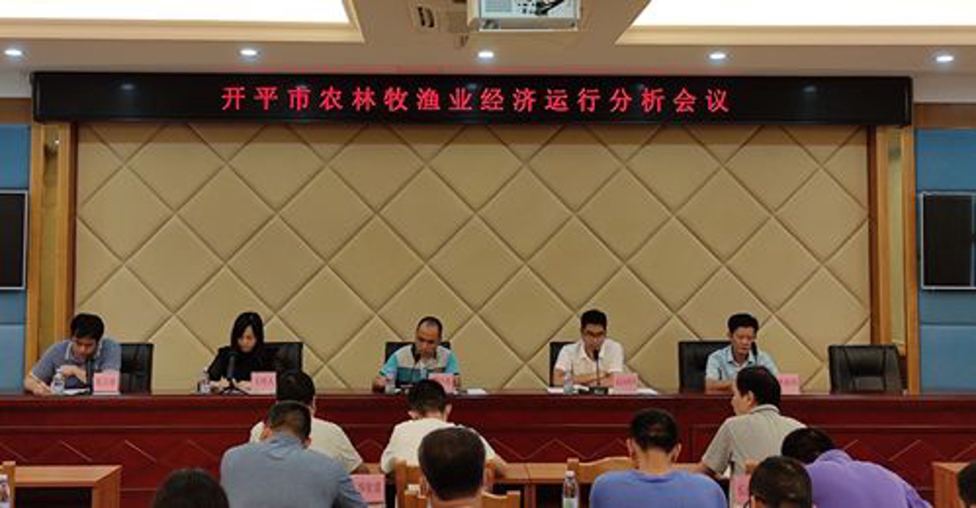 蔡勇苗圃